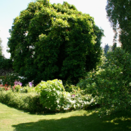 Entretien de Jardin Annuel pour une Beauté Durable Agde